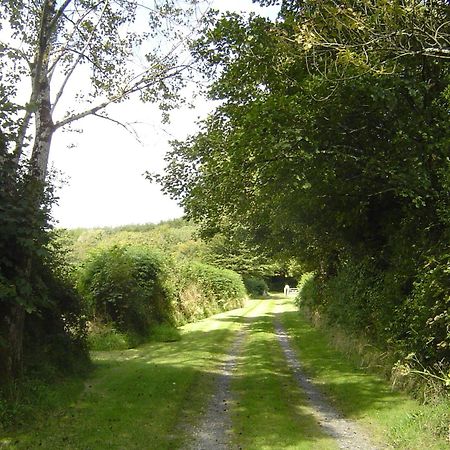 Holdstrong Farmhouse Lydford Luaran gambar
