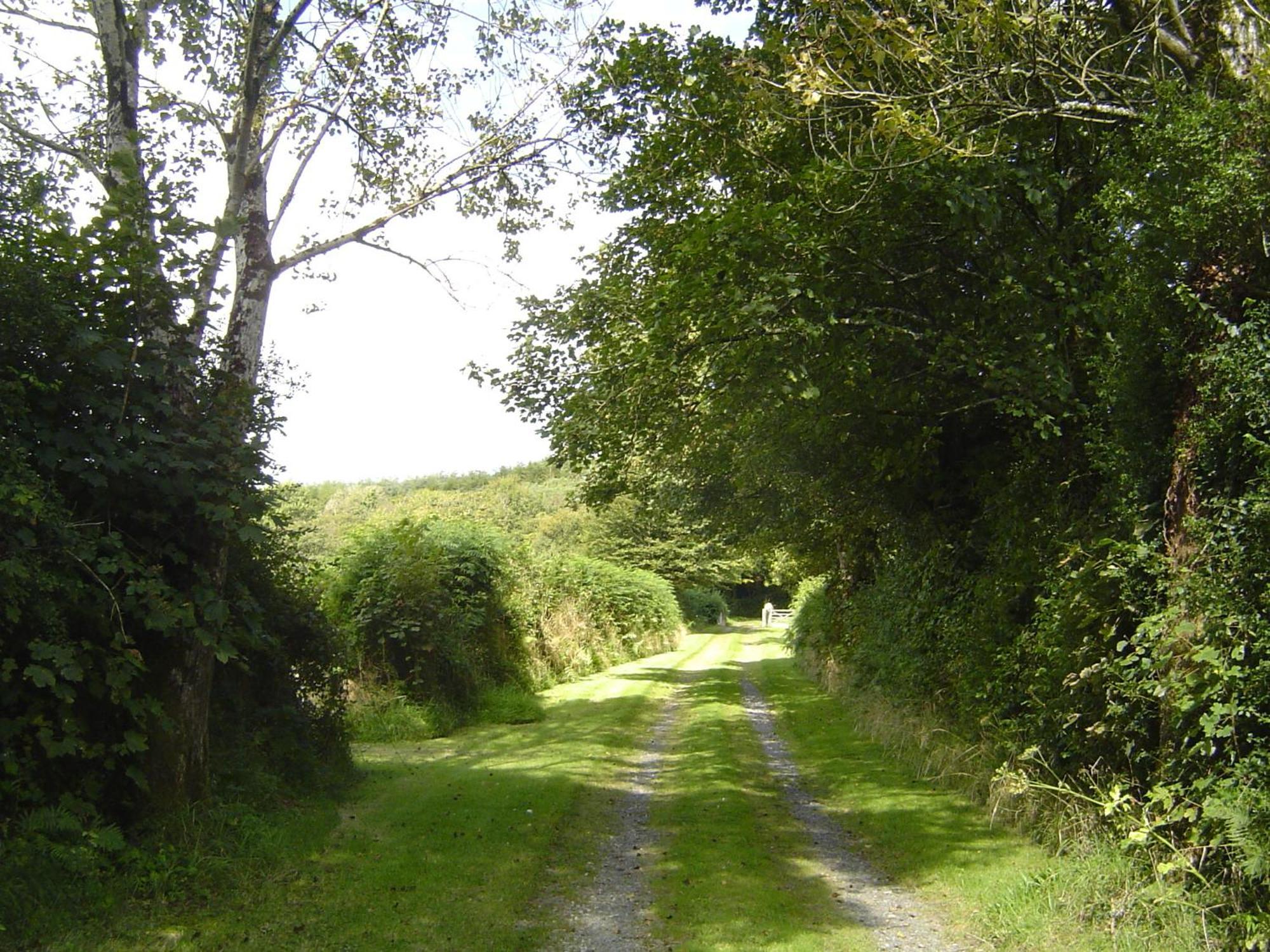 Holdstrong Farmhouse Lydford Luaran gambar