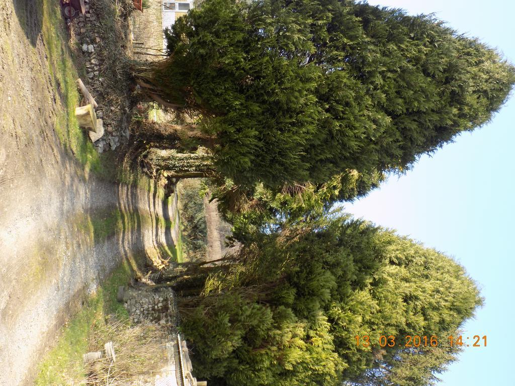 Holdstrong Farmhouse Lydford Luaran gambar